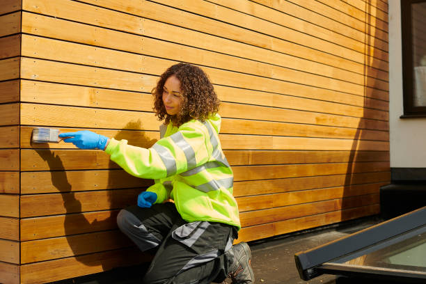 Best Stucco Siding  in , AZ